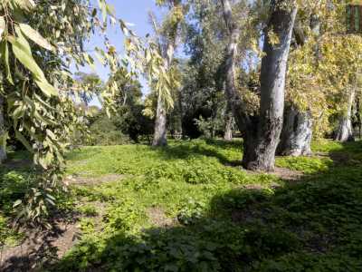 La pineta nascondeva infine un posto �segreto�: il labirinto, dismesso una ventina d�anni fa. Si trovava al confine con via Napoli, l� dove c�� una zona sopraelevata...